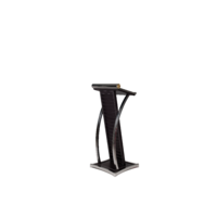 EXECUTIVE ROSTRUM